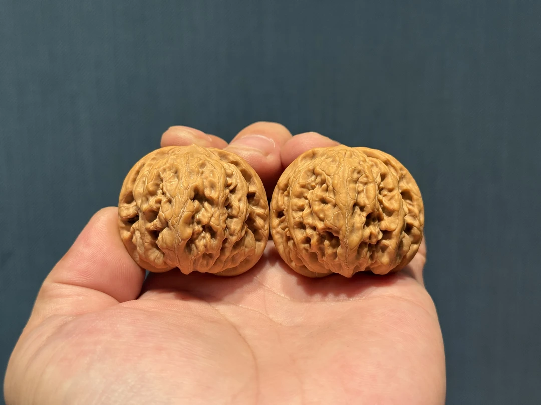 一物一图核桃专场-默白出品【B类精品-平谷九龙】 文玩核桃一对