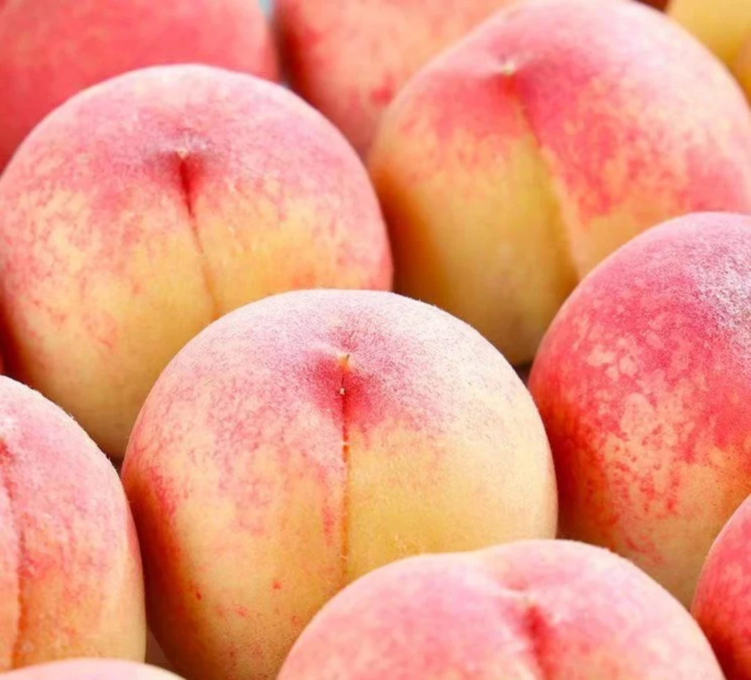 【夏日限定】新鲜露天头茬水蜜桃当季水果毛桃应季水果现摘现发自