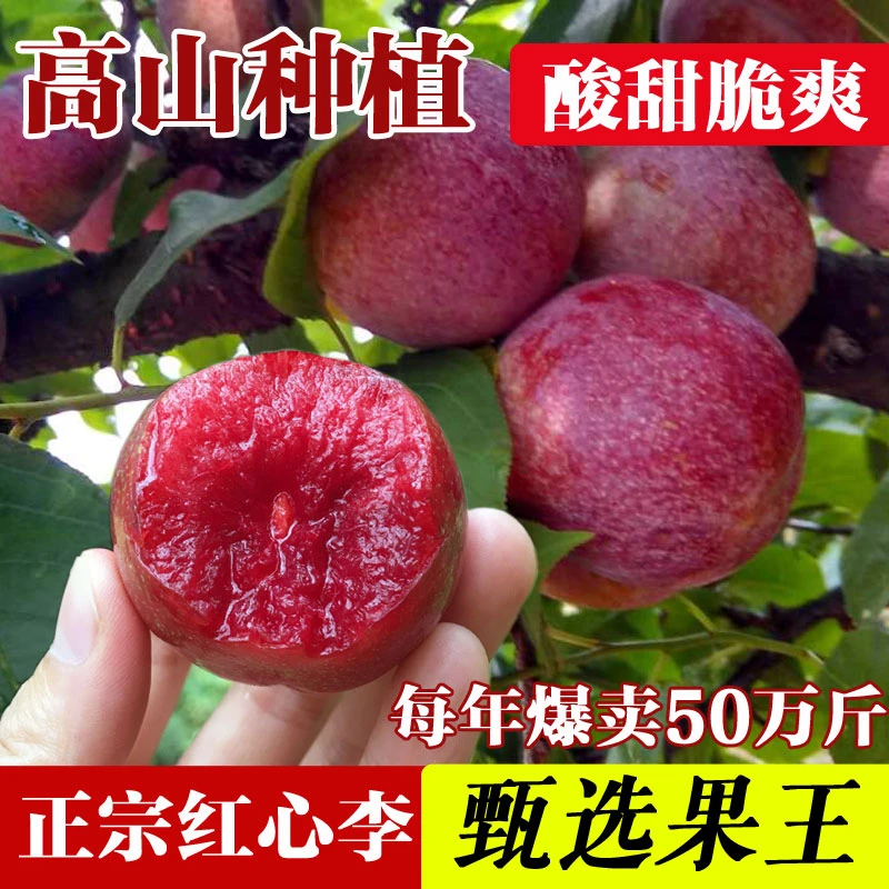 【现摘现发】正宗福建高山红心李三华李酸甜脆芙蓉李2/3/5斤包邮