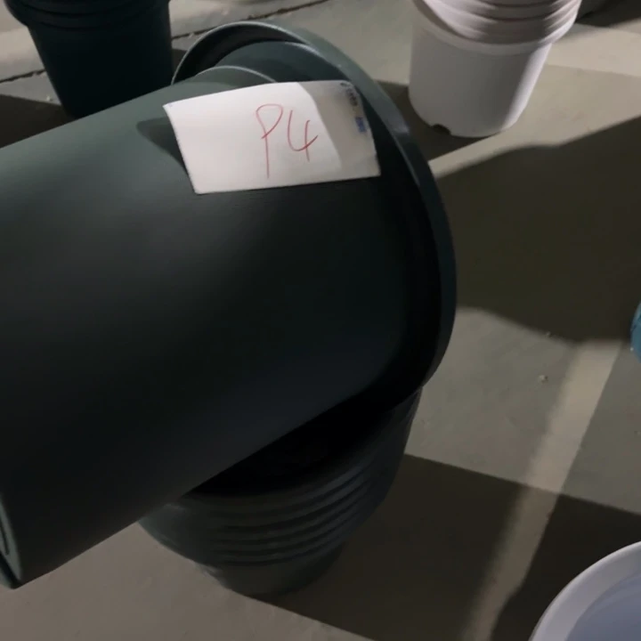 编号是94号的94号的花盆