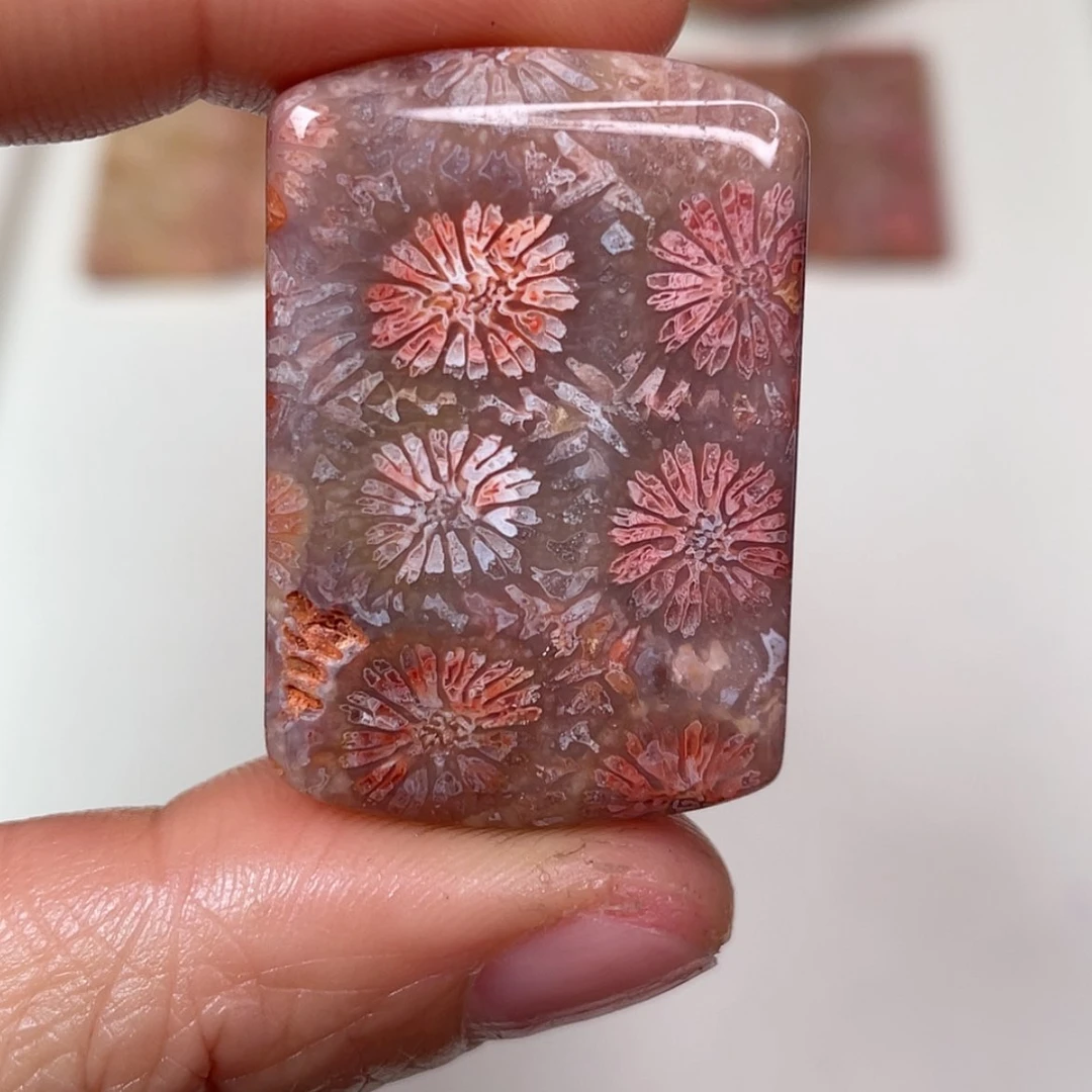 【闪购商品】未镶嵌吊坠(赠链)硅化玉