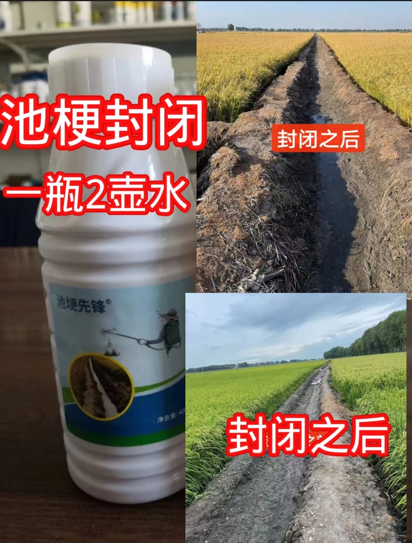 池梗封闭一瓶2壶水没插秧之前使用有苗不能用