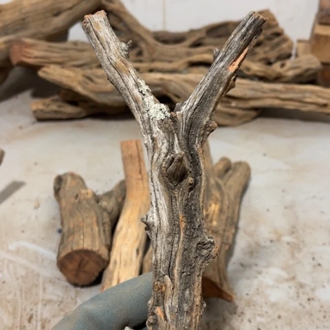 大果紫檀（缅甸花梨）N*极