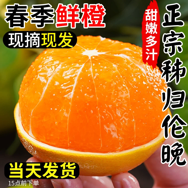 秭归伦晚脐橙正宗湖北宜昌春橙新鲜橙子水果当季热卖产地直发宝妈