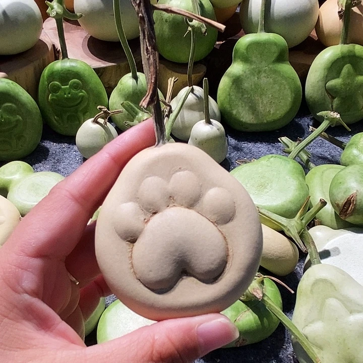 ****ᐝ葫芦村等自然保护地带进行