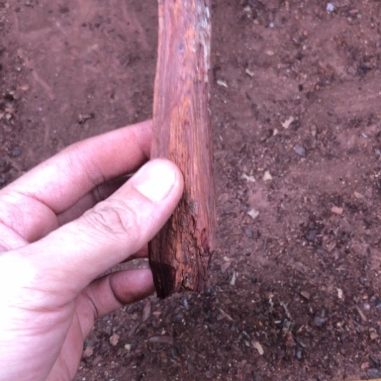 筷***生黄花梨/降香黄檀把件原木料定制，不退不换