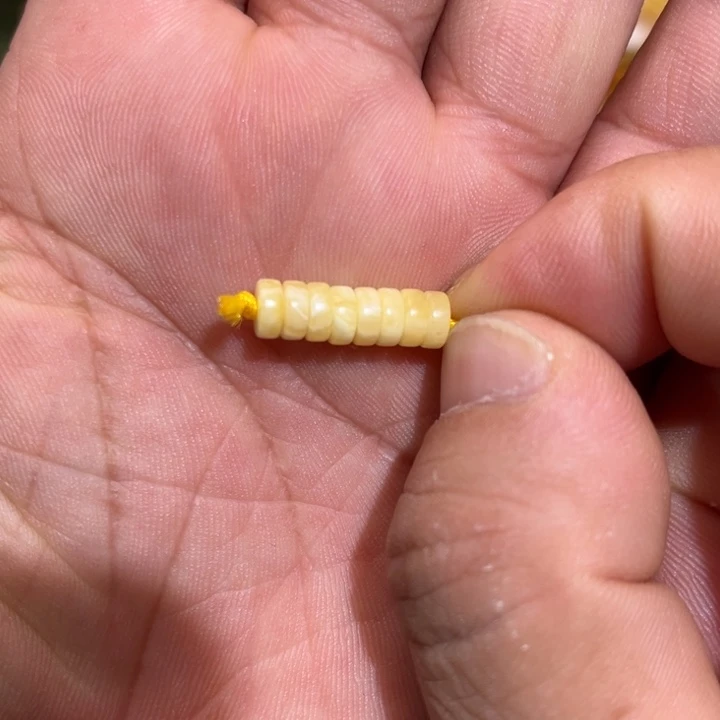 琥珀未镶嵌手链黄白花精切隔片6.0mm