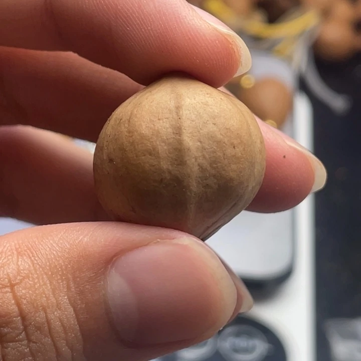 梧***雨手串/手链橄榄核2.2