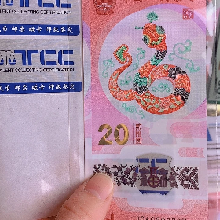 塑料2025蛇钞069890027