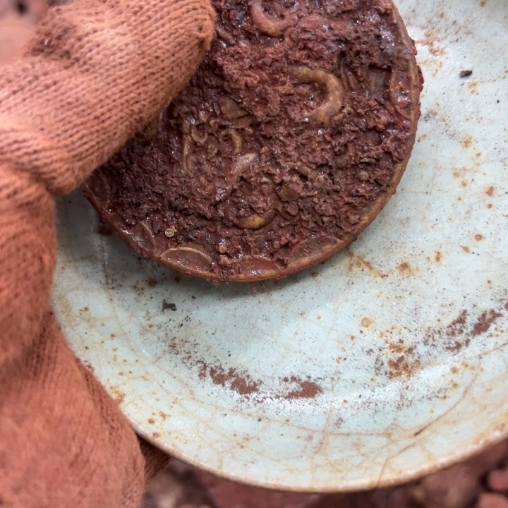 瓷器瓷器瓷器瓷器