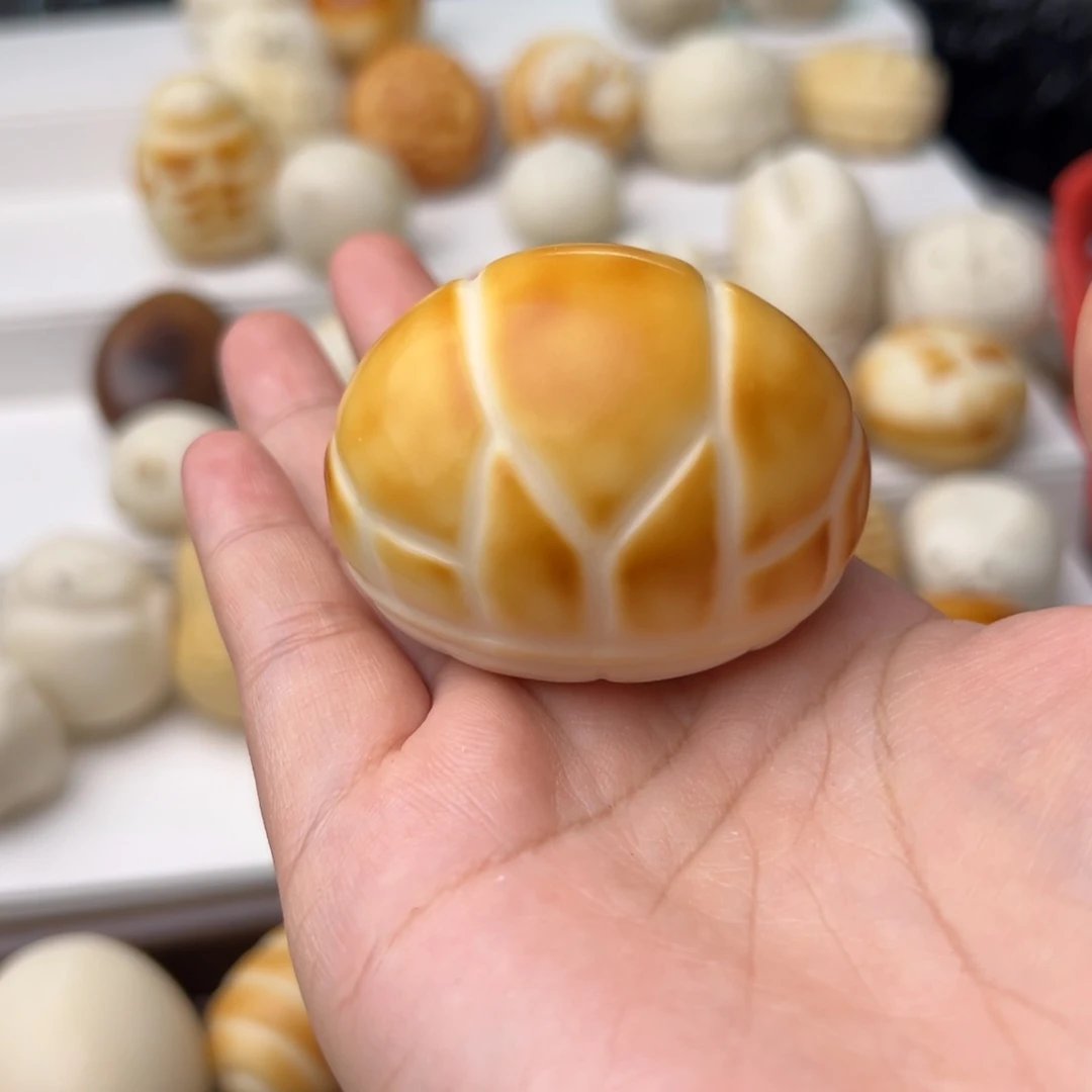 石****把件菩提根/象牙果定制巨大龟壳画铜钱不退换