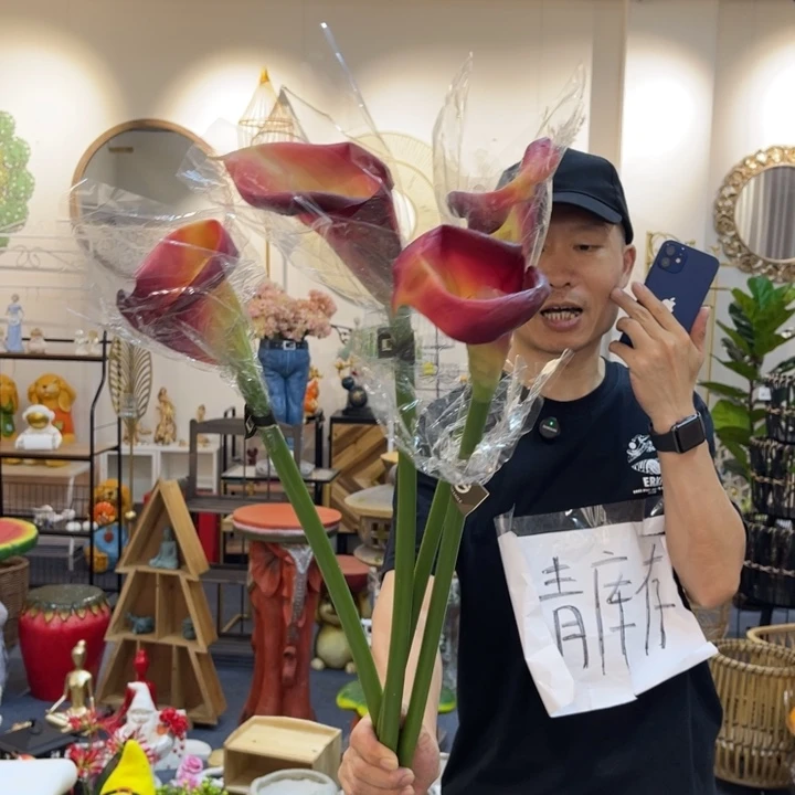 鱼***儿摆件四只哈哈哈哈哈哈哈