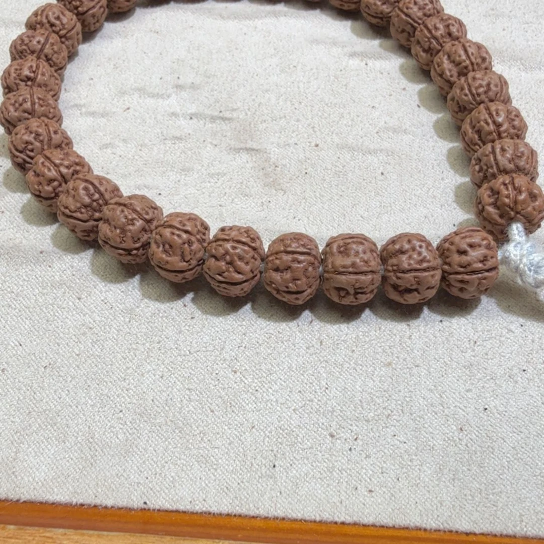 金刚菩提吊坠11➕老树王全品