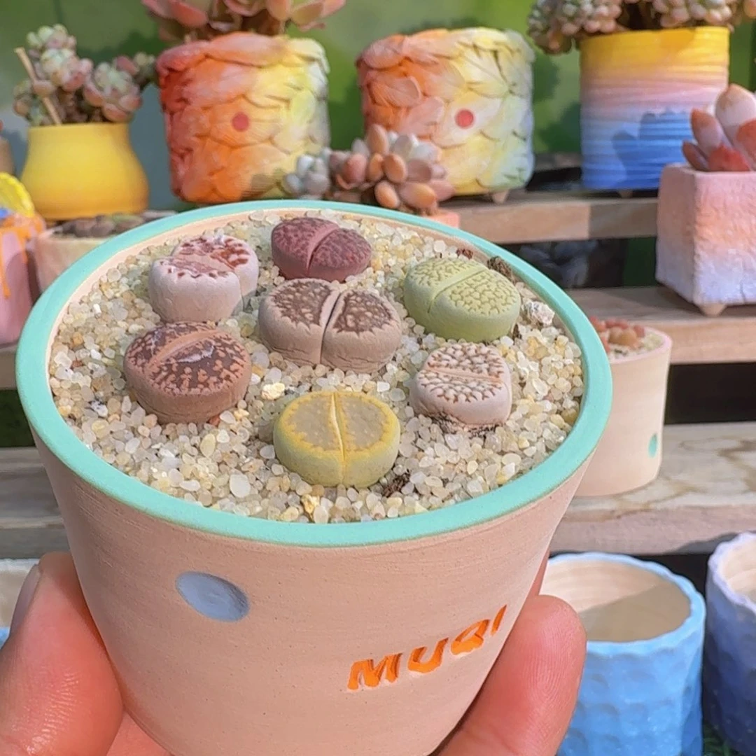 谢谢谢谢谢谢谢谢谢谢谢谢谢谢