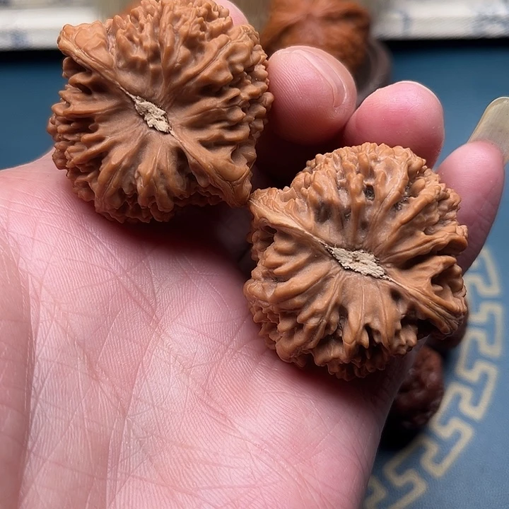 文玩核桃把件满天星40全品