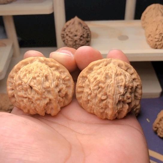 文玩核桃把件神**光白狮子