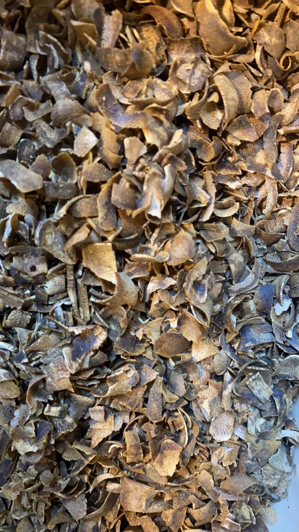 棋楠老黄棋切片20克多样性发一