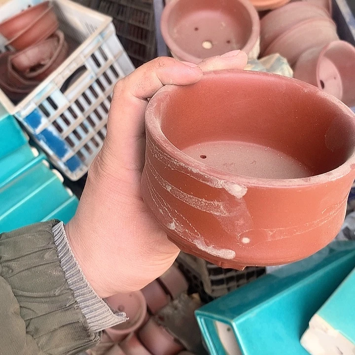 紫砂哈哈真的是太给力太火爆了不是吗