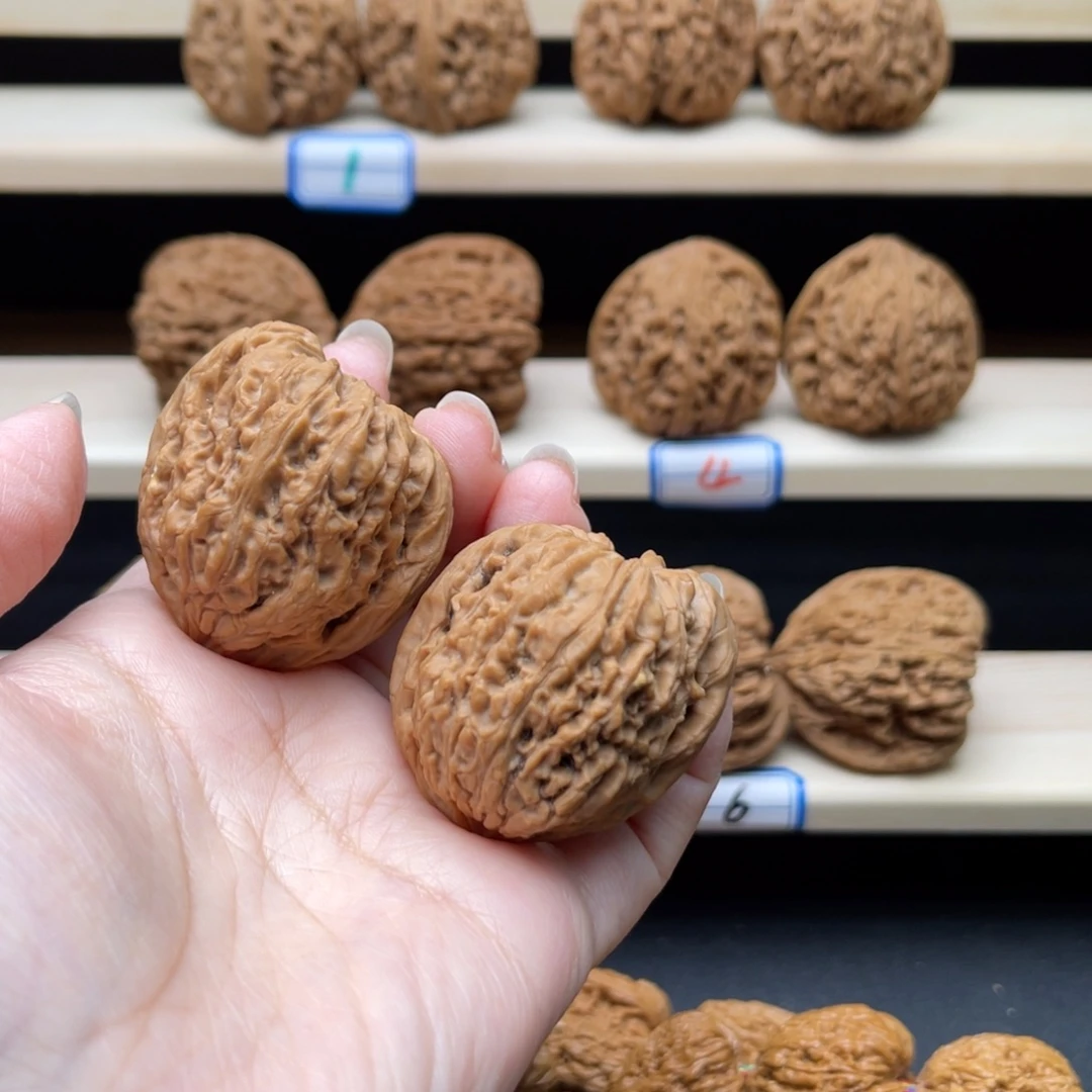 把件猴头核桃涿鹿凹底天残