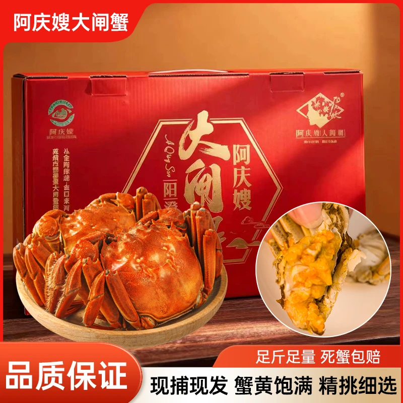 阿庆嫂金秋大闸蟹正当季(3.0两1只)螃蟹就吃二两母鲜活发货红膏蟹