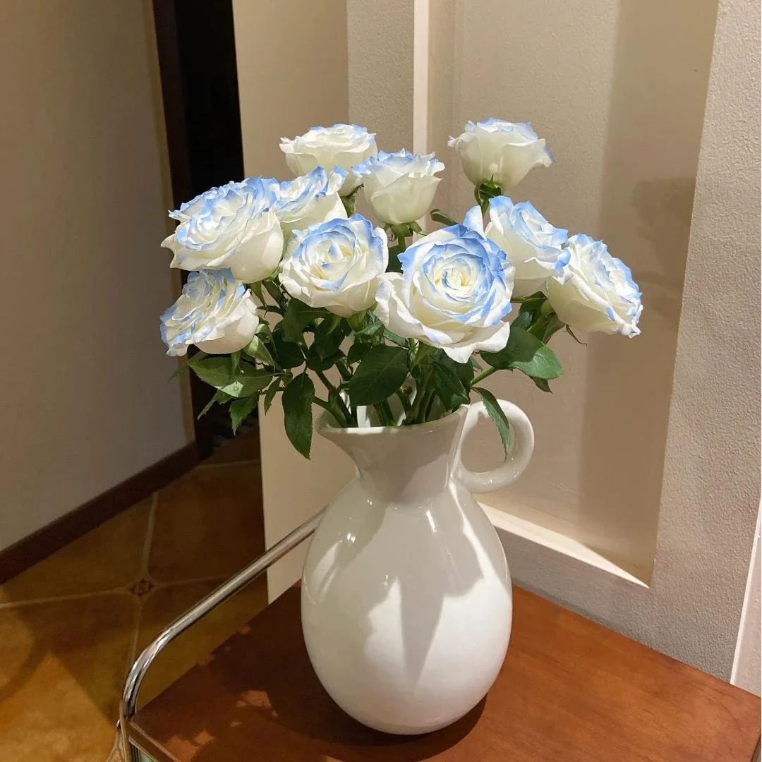 （碎冰蓝玫瑰）云南直发玫瑰鲜花两单京东冷链包邮M