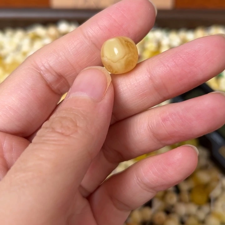 蜜蜡未镶嵌裸石11.5mm一个