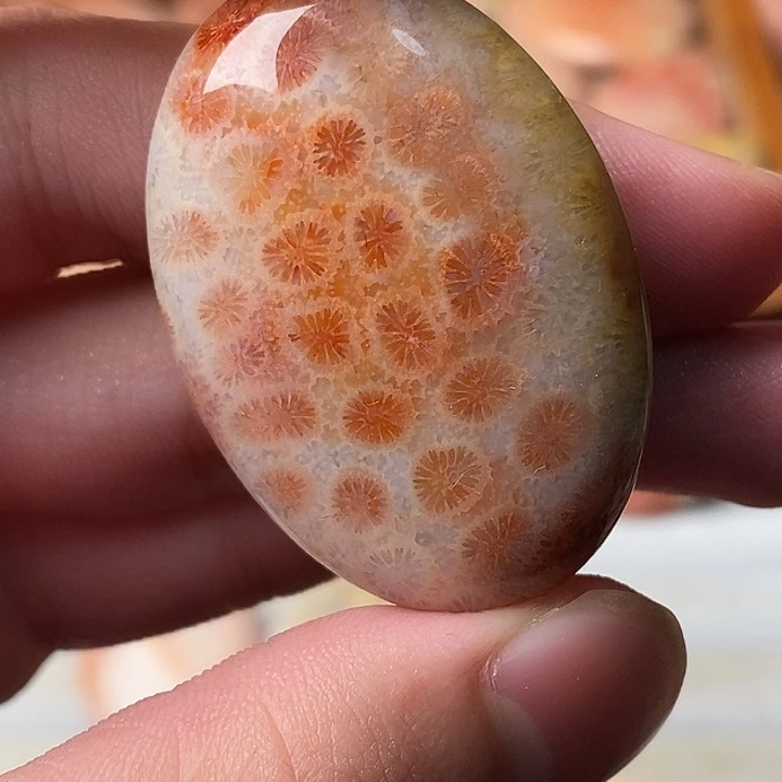 上***n硅化珊瑚未镶嵌颈饰