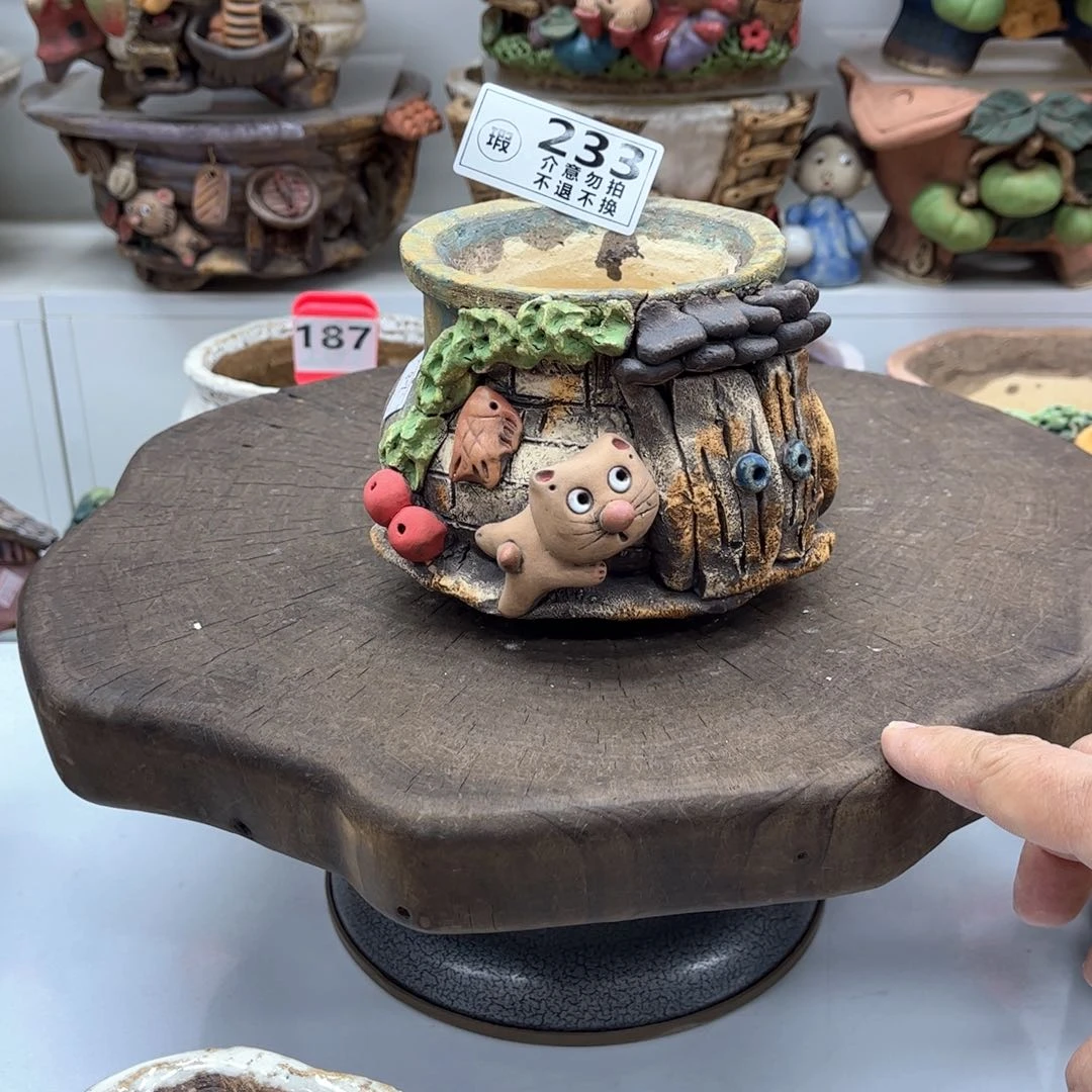 红陶紫*～花盆233瑕疵紫悦