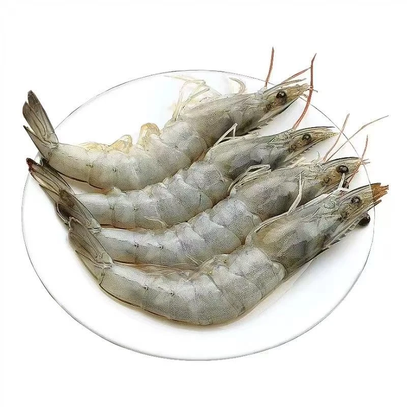 W6顺丰发货 海水大虾单只15cm左右四斤/盒含薄碎冰锁鲜 共50~60只海虾