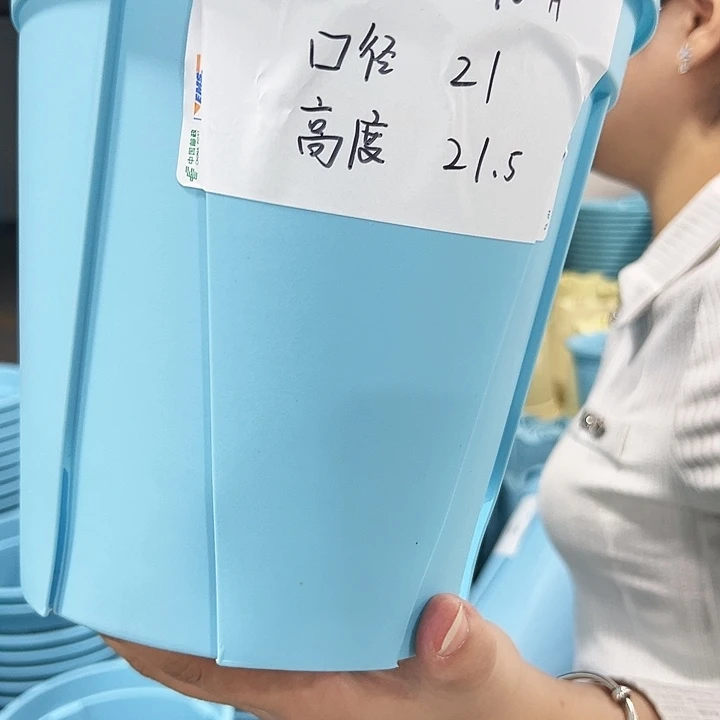 特价青山口21高21蓝色10只无托