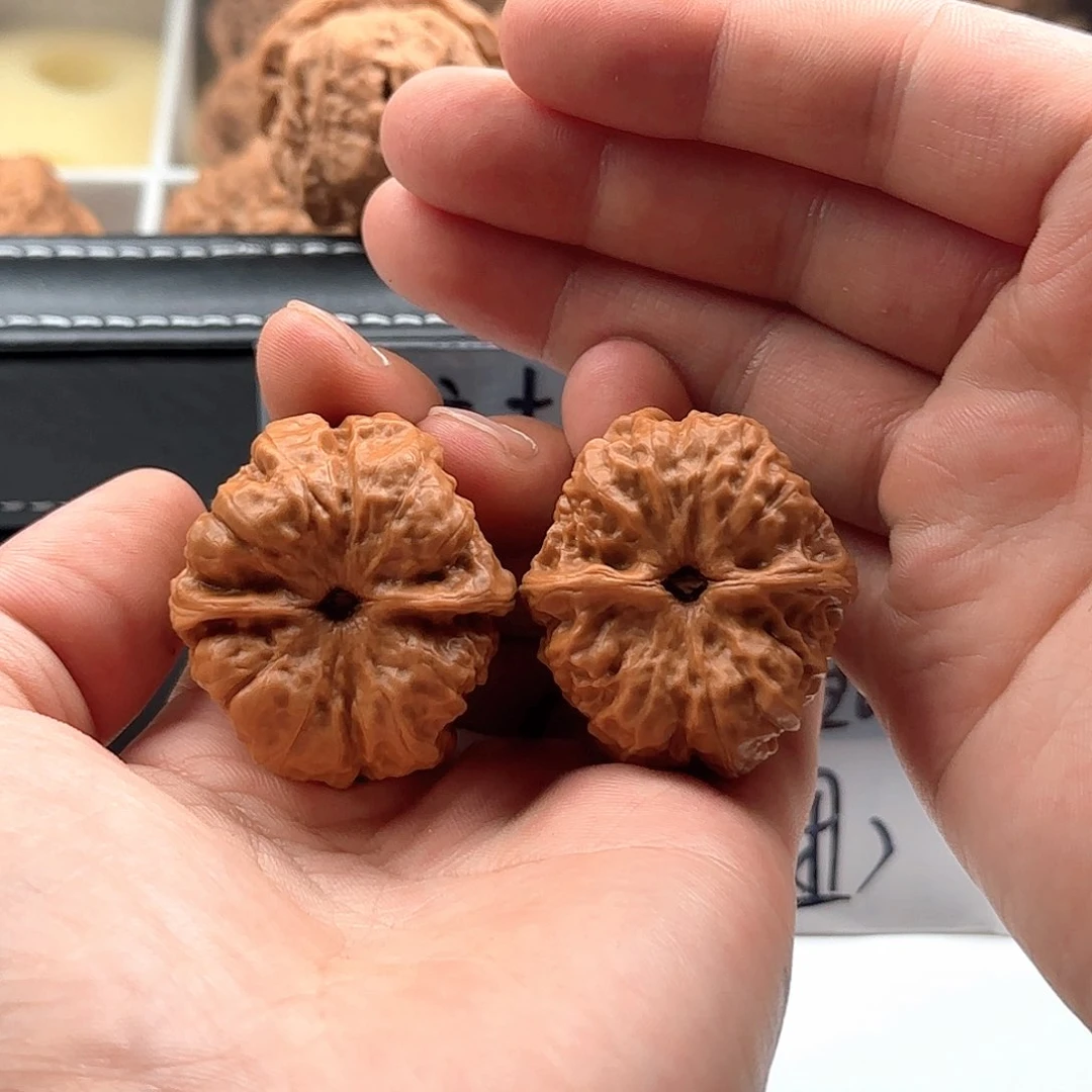 延庆蛤蟆头山地果