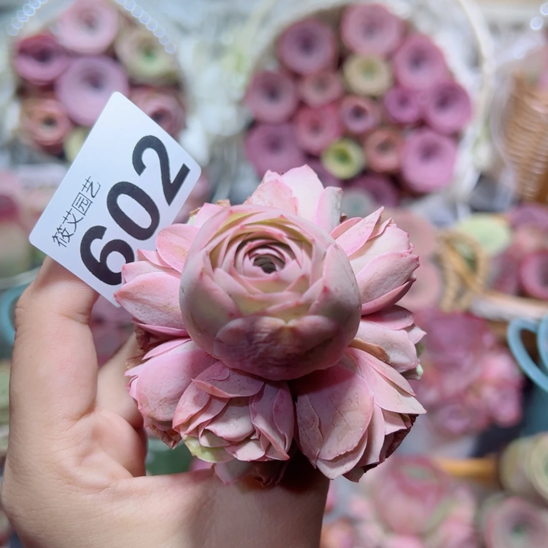 602粉色手捧花。