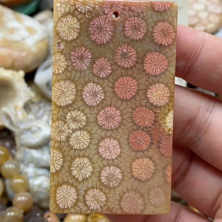 硅化珊瑚（珊瑚玉）未镶嵌颈饰