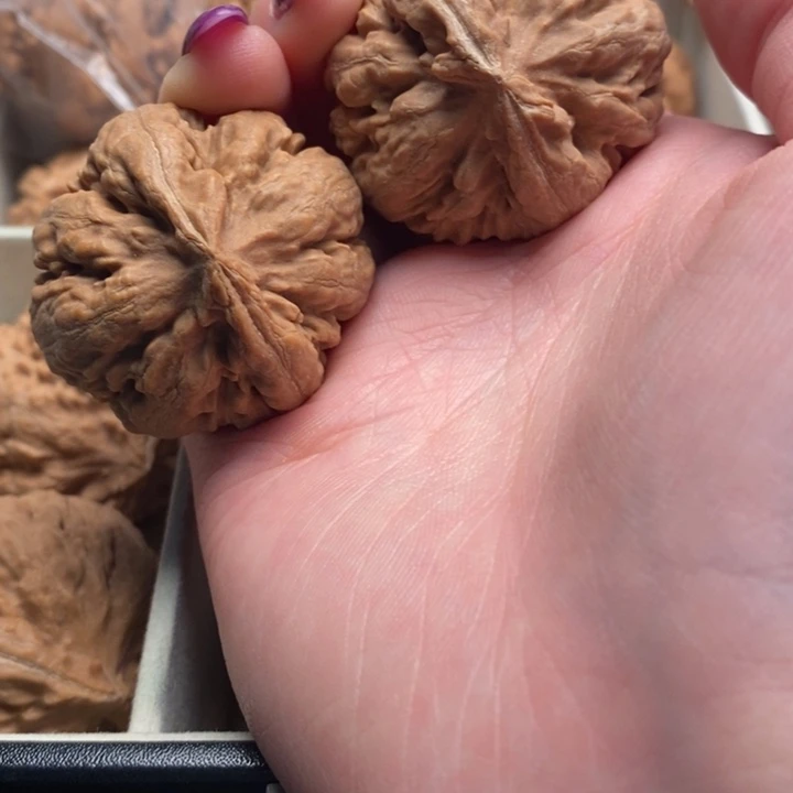 六***雪文玩核桃手串霸王龙