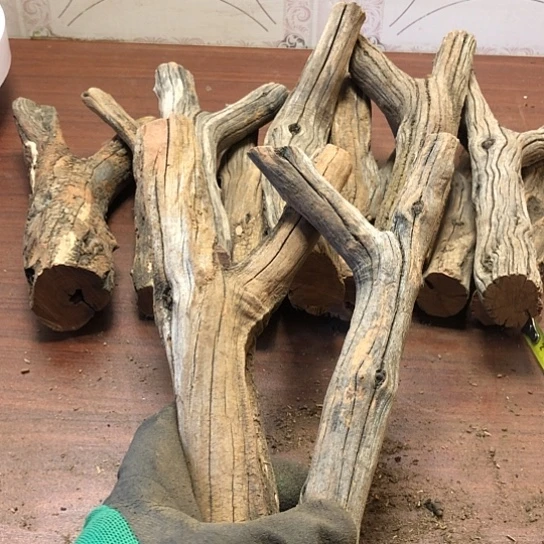 大果紫檀（缅甸花梨）8**9