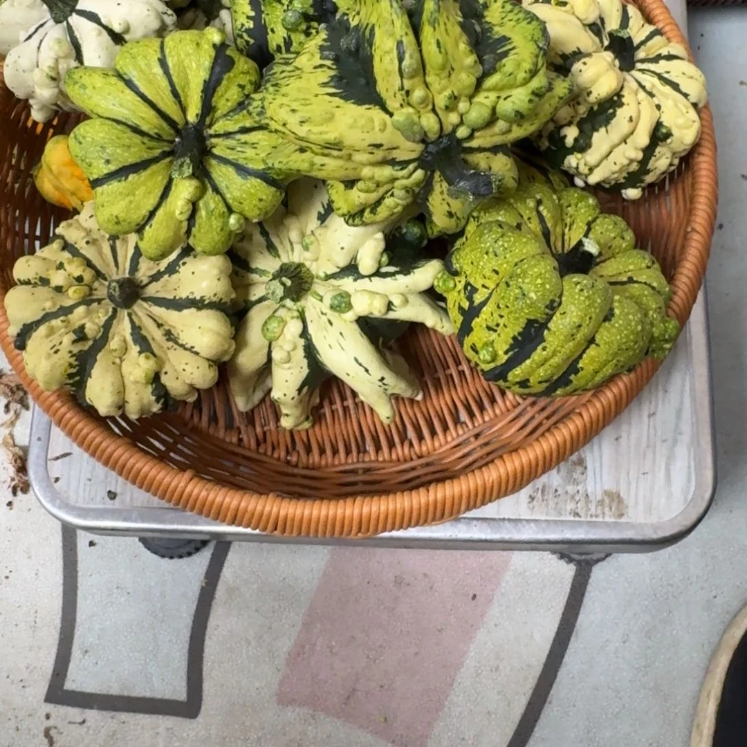 O****e葫芦啊啊啊啊啊啊啊啊啊