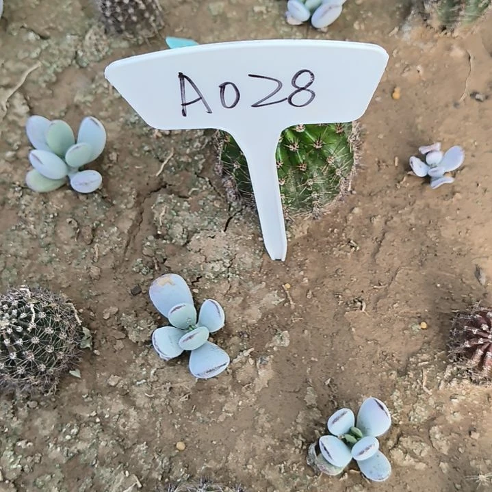 粉黛瑕疵无售后的