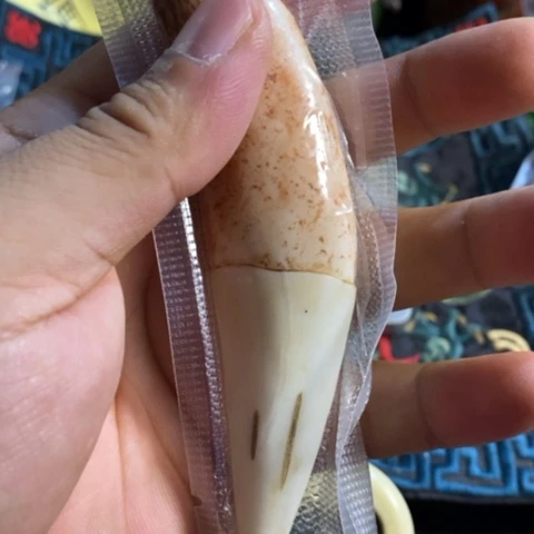 大哥专拍链接一号