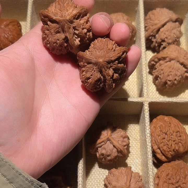 文玩核桃吊坠40满天星三棱（尖上磕修好发货）