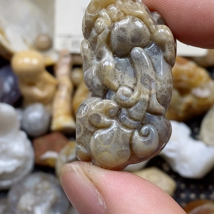 颈饰未镶嵌硅化珊瑚（珊瑚玉）