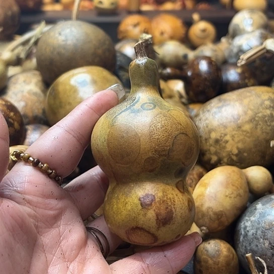 s***鹤葫芦葫芦葫芦葫芦