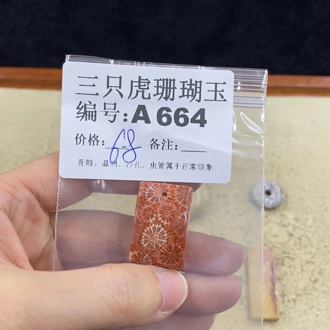 硅化珊瑚（珊瑚玉）1未镶嵌山****i