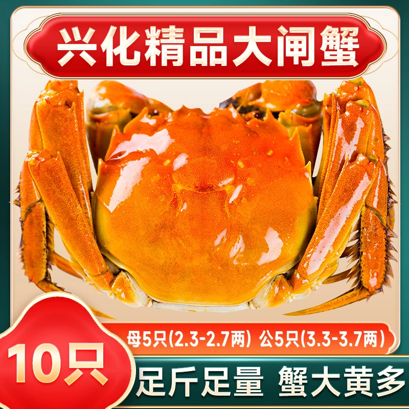 【活蟹】江苏兴化精品大闸蟹公3.5母2.5两10只礼品装顺丰JD冷链包邮