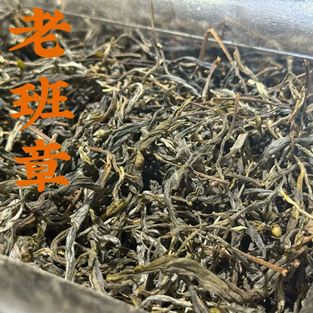 山夫堂2025年老班章混采普洱生茶散茶