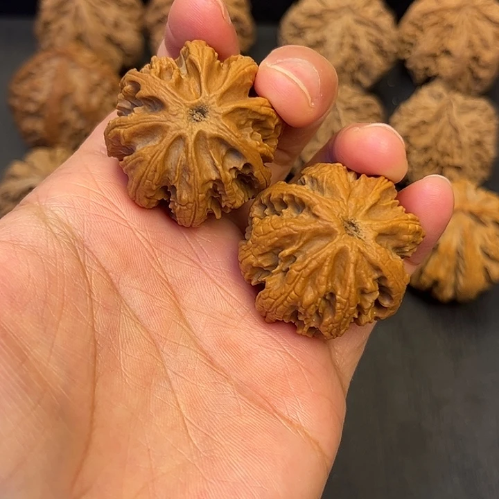 核桃秦岭突突突突突14