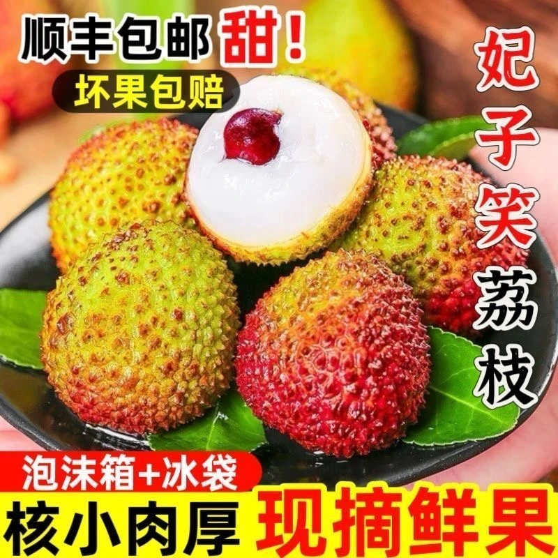 【明天到】正宗妃子荔枝肉厚核小现摘现发坏果包赔1-5斤装新鲜广东省