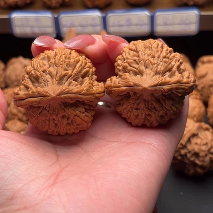 文玩核桃把件奋*蚂蚁王