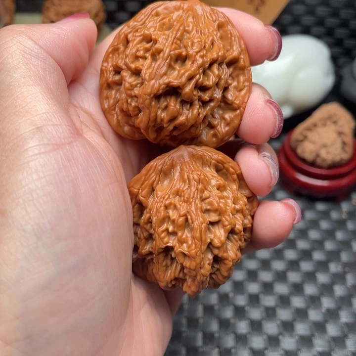 @***士41尺虎头，打底发货