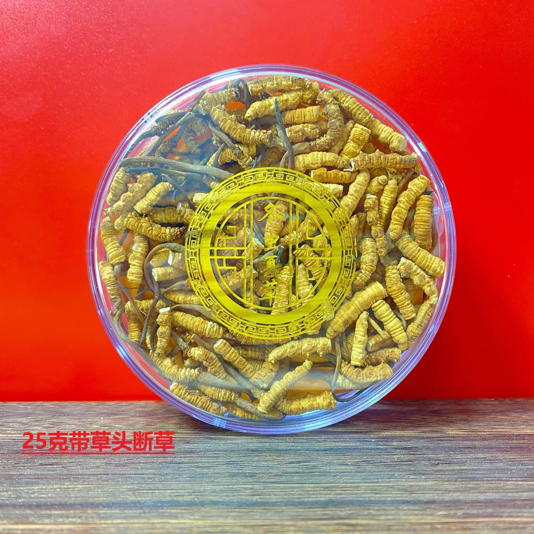 【央吉专属】25克断草  2025干冬虫夏草滋补食用