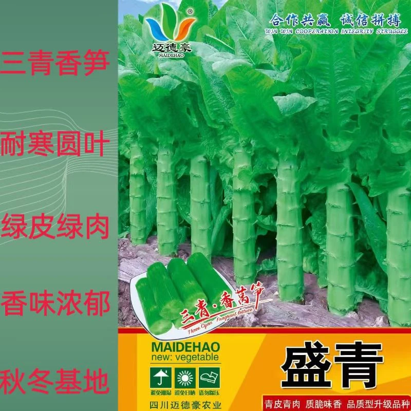盛青  香莴笋种子耐寒三青圆叶高桩大棒深绿抗病秋冬基地质脆味香